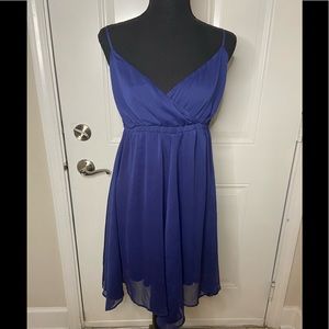 Sam & Max woman’s size large dress